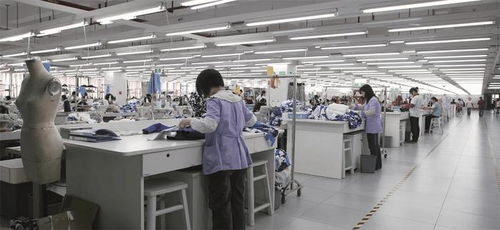 達(dá)利集團(tuán)數(shù)字化轉(zhuǎn)型 攜手高士數(shù)字科技，開啟效率與產(chǎn)能新篇章